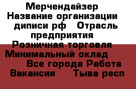 Мерчендайзер › Название организации ­ диписи.рф › Отрасль предприятия ­ Розничная торговля › Минимальный оклад ­ 25 000 - Все города Работа » Вакансии   . Тыва респ.